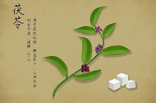 年终总结会议通知(年终工作总结会议流程的通知)