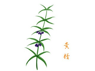 数学日记四年级_数学日记四年级下册100个字