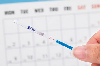 重阳节的诗句(重阳节的诗句古诗王维)