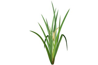 简单离职报告范文